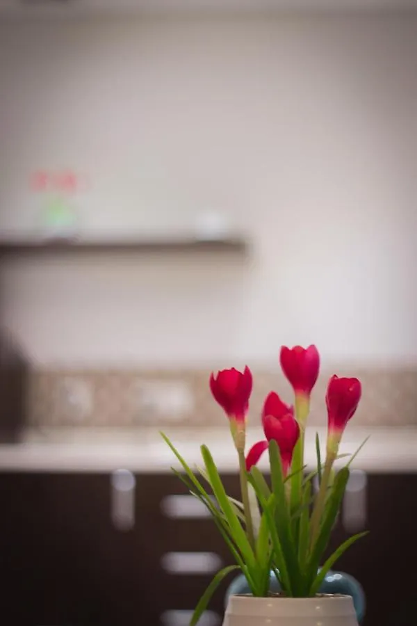 Amar Furnished Hotel Apartments Riyadh 0*,  Saudi Arabia